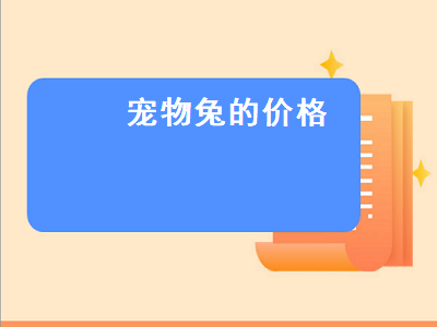 宠物兔的价格（宠物兔的价格是多少）