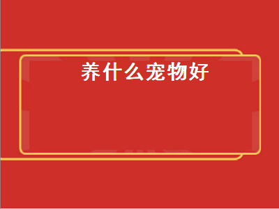 养什么宠物好（养什么宠物好玩又干净）