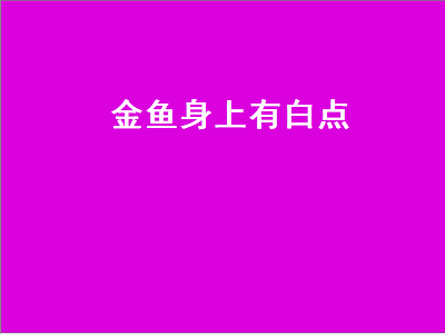 金鱼身上有白点（金鱼身上有白点怎么治）