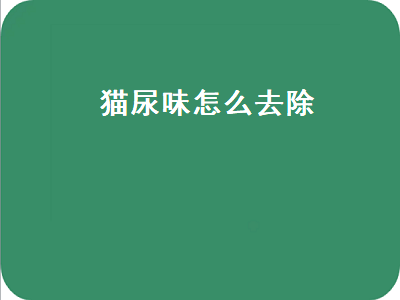 猫尿味怎么去除（猫尿味怎么去除 沙发）