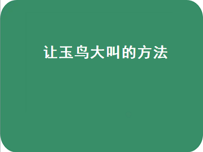 让玉鸟大叫的方法（玉鸟母鸟叫声视频让玉鸟大叫的方法）