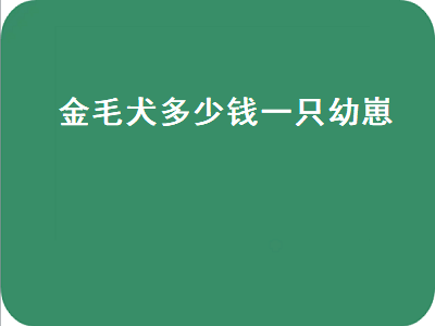 金毛犬多少钱一只幼崽（金毛犬多少钱一只幼崽图片）