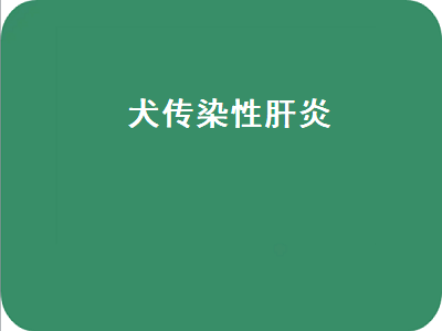 犬传染性肝炎（犬传染性肝炎的症状与治疗）