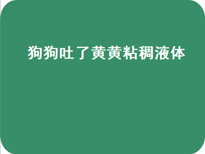 狗狗吐了黄黄粘稠液体（狗狗吐了黄黄粘稠液体带泡沫）