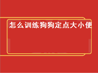 怎么训练狗狗定点大小便（没有笼子怎么训练狗狗定点大小便）