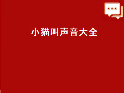 小猫叫声音大全（小猫叫声音大全40分钟）