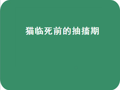 猫临死前的抽搐期（猫临死前的抽搐期大概多久）