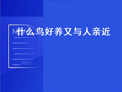 什么鸟好养又与人亲近（什么鸟好养又与人亲近不会飞走）