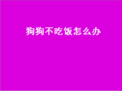 狗狗不吃饭怎么办（狗狗不吃饭怎么办没精神怎么办）