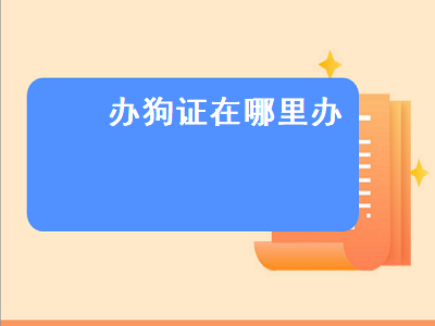 办狗证在哪里办（狗狗办狗证在哪里办）