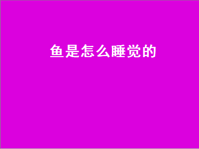 鱼是怎么睡觉的（金鱼是怎样睡觉的）