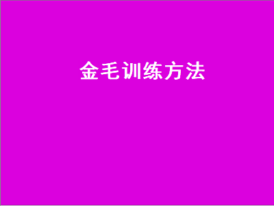 金毛训练方法（金毛训练方法大全集）