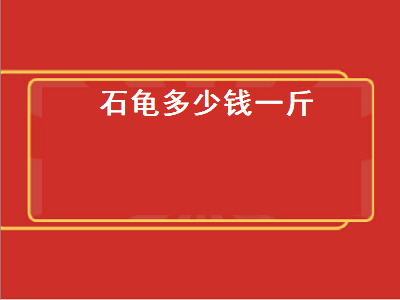 石龟多少钱一斤（石龟多少钱一斤2022）