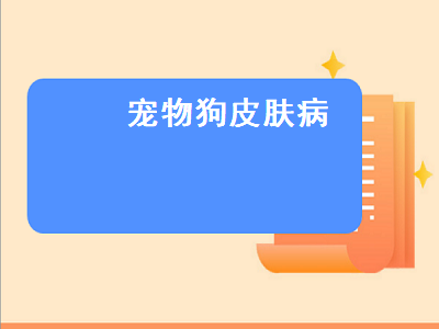 宠物狗皮肤病（宠物狗皮肤病用什么药治疗）