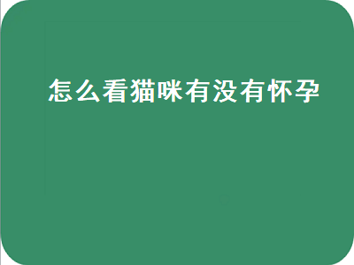 怎么看猫咪有没有怀孕（怎么看猫咪有没有怀孕图片）