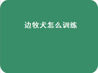 边牧犬怎么训练（边牧犬怎么训练拉便便）