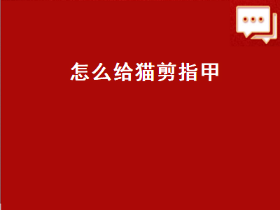 怎么给猫剪指甲（怎么给猫剪指甲不让它反抗）