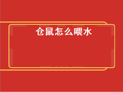 仓鼠怎么喂水（仓鼠怎么喂水没饮水器）