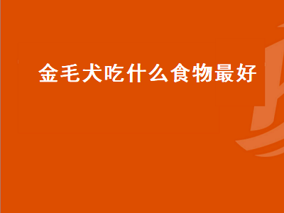 金毛犬吃什么食物最好（金毛犬吃什么食物最好最省钱）