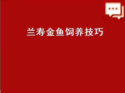 兰寿金鱼饲养技巧（兰寿金鱼饲养技巧视频）