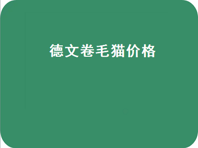 德文卷毛猫价格（德文卷毛猫价格多少钱一只）