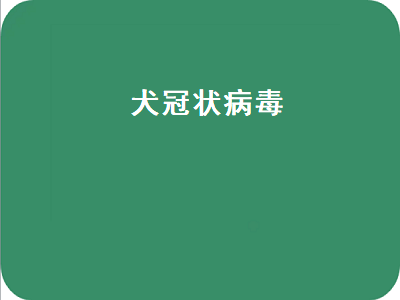 犬冠状病毒（犬冠状病毒怎么治疗）