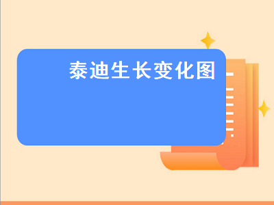 泰迪生长变化图（泰迪生长变化图文）