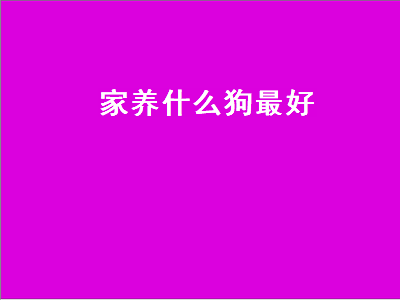 家养什么狗最好（家养什么狗最好小型犬）