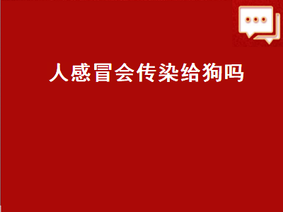 人感冒会传染给狗吗（新冠会传染给狗吗）