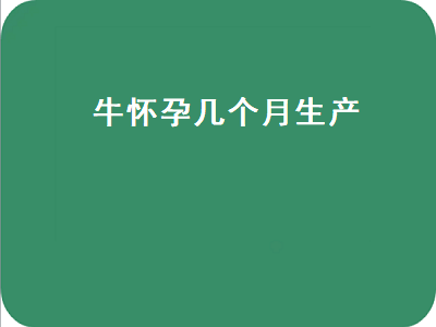 牛怀孕几个月生产（牛怀孕几个月生产小牛）