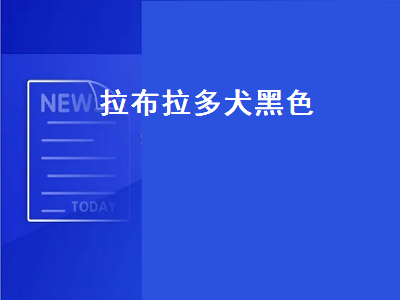 拉布拉多犬黑色（拉布拉多犬黑色的好还是白色的好）