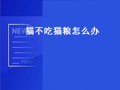 猫不吃猫粮怎么办（猫挑食不吃猫粮怎么纠正）