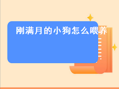 刚满月的小狗怎么喂养（刚满月的小狗怎么喂养一天喂几顿）