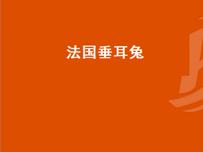 法国垂耳兔（法国垂耳兔多少钱一只）