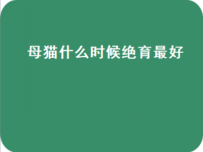 母猫什么时候绝育最好（美短母猫什么时候绝育最好）