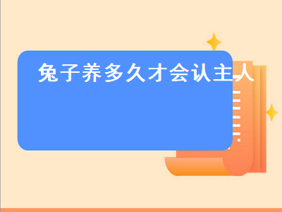 兔子养多久才会认主人（兔子养多久才会认主人咬人）