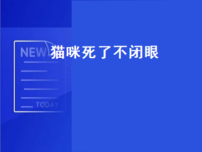 猫咪死了不闭眼（猫咪死了不闭眼不合嘴）