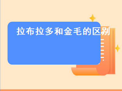 拉布拉多和金毛的区别（拉布拉多和金毛哪个狗比较好一点）