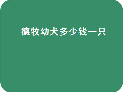 德牧幼犬多少钱一只（纯种德牧幼犬多少钱一只）