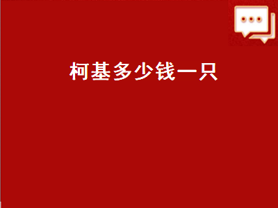 柯基多少钱一只（柯基多少钱一只幼犬）