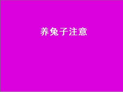 养兔子注意（养兔子注意事项）