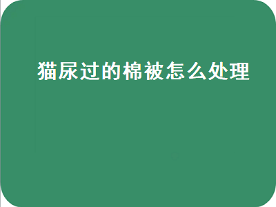 猫尿过的棉被怎么处理（猫尿过的棉被怎么处理猫才不会再去尿）