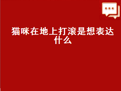 猫咪在地上打滚是想表达什么（猫咪在地上打滚是想表达什么咬人）