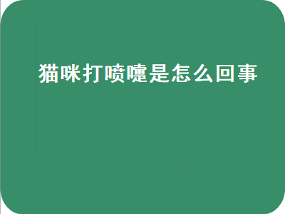 猫咪打喷嚏是怎么回事（两个月猫咪打喷嚏是怎么回事）