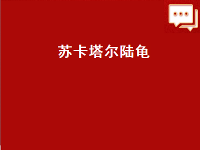 苏卡塔尔陆龟（苏卡塔尔陆龟哪里有卖）