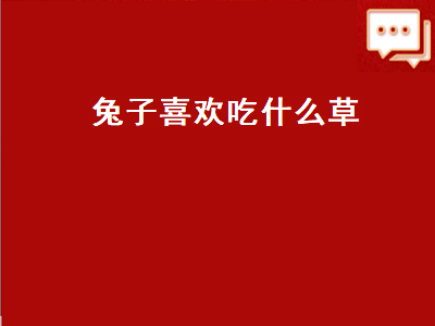 兔子喜欢吃什么草（兔子喜欢吃什么草图片叫什么名字）