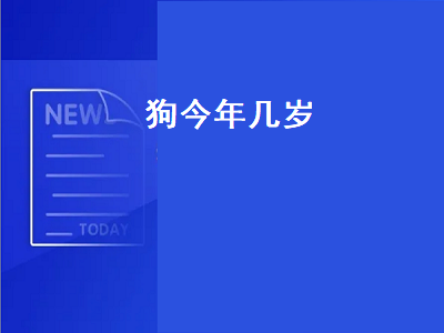 狗今年几岁（狗今年几岁了2022）