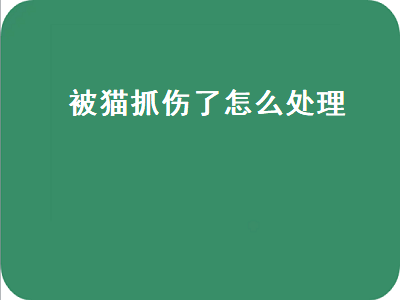 被猫抓伤了怎么处理（猫抓伤了表皮出了一点血怎么办）