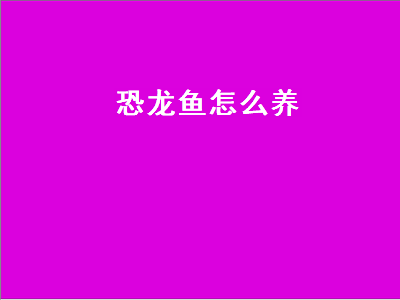 恐龙鱼怎么养（六角恐龙鱼怎么养）