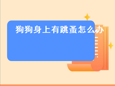 狗狗身上有跳蚤怎么办（一个月的狗狗身上有跳蚤怎么办）